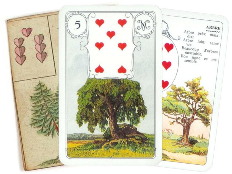 3 cards from the Lenormand tree are presented in a fan-shape.